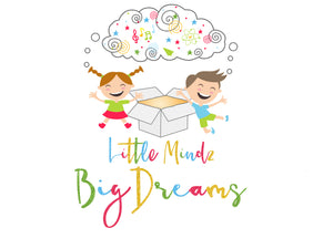 Little Mindz Big Dreams