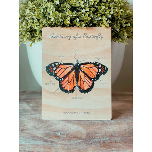 Anatomy of a Butterfly by Ataahua Children