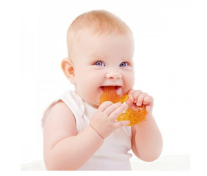 CaaOcho All Stage Teether Fish