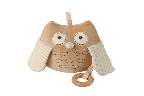 EverEarth Owl
