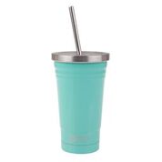 Oasis Double Wall Insulated Stainless Steel Smoothie Tumbler With Straw 500ml -Spearmint